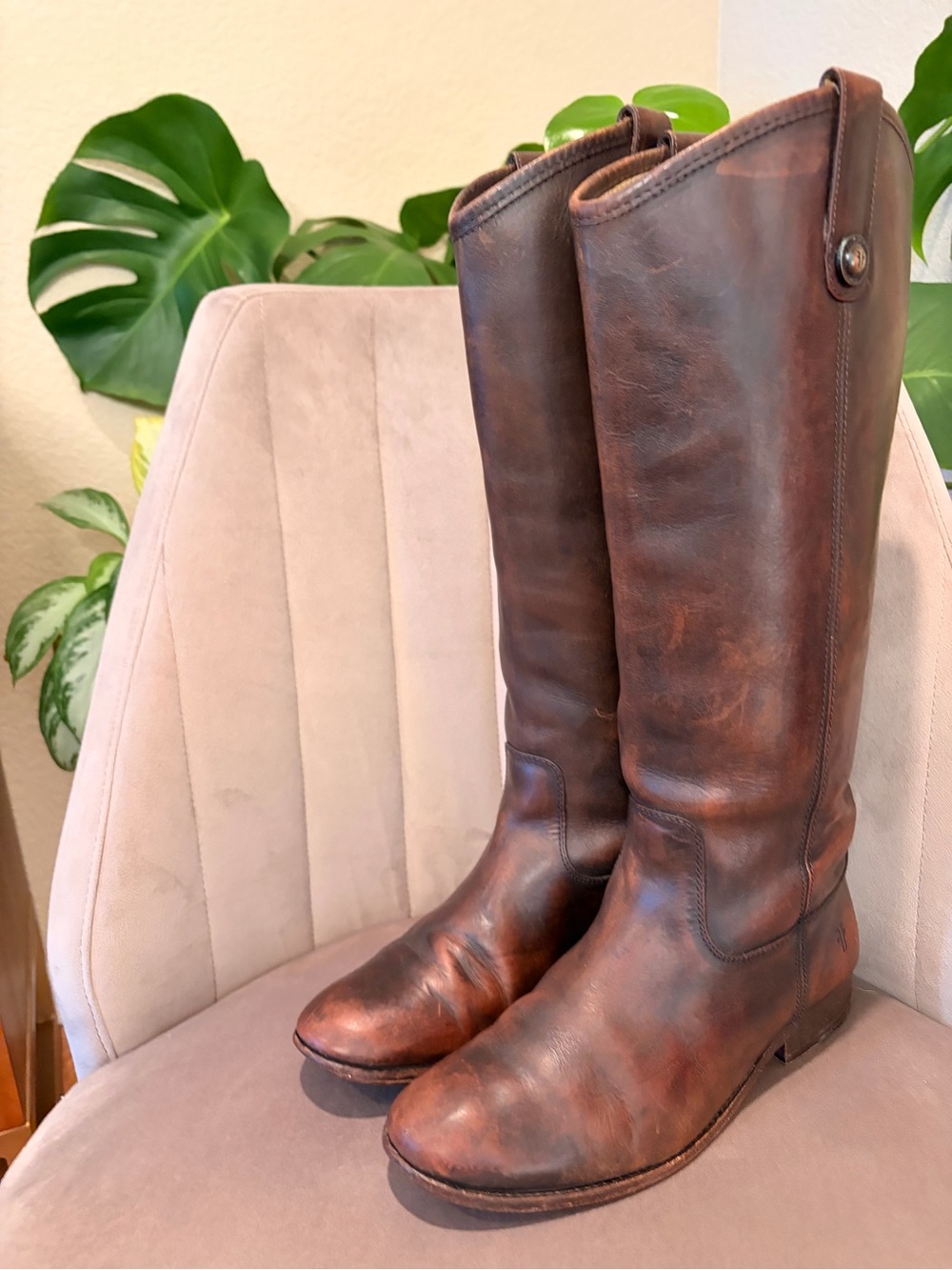 Frye Brown Leather Tall Riding Boots - Size 8
